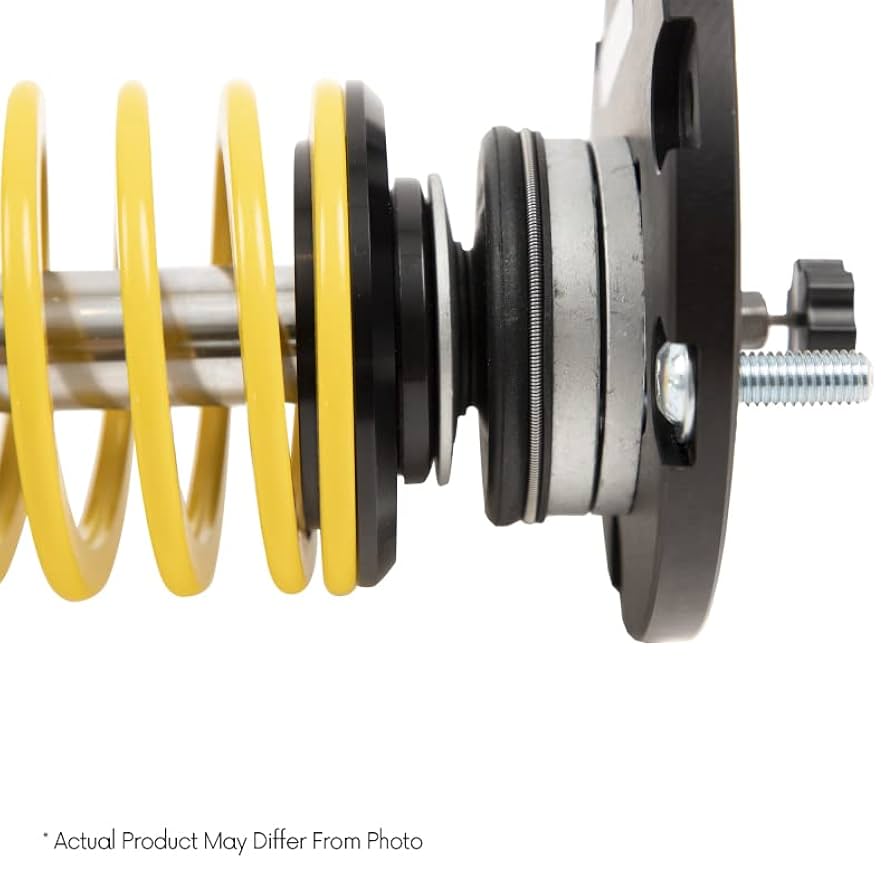 Amazon.com: ST Suspensions 1828080G XTA Height Rebound